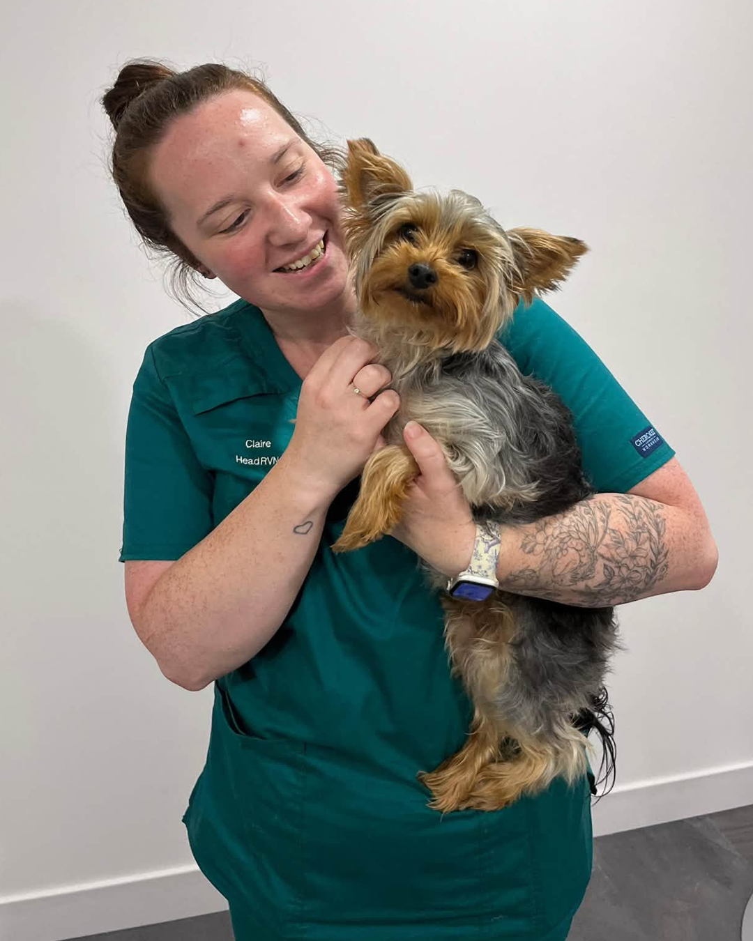 Claire holding a dog patient at Almond Vet Care